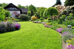 Aménagement de jardin à Pessac